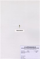 藏品(香蕉菜)的圖片
